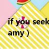 if you seek amy舞蹈完整版（if you seek amy）