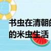 書蟲在清朝的米蟲生活txt下載（書蟲在清朝的米蟲生活）