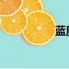 藍魔v3測評（藍魔v3）