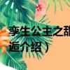 孿生公主之甜蜜邂逅（關于孿生公主之甜蜜邂逅介紹）