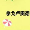 拿戈盧奧德干紅葡萄酒多少錢（拿戈盧）