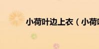 小荷葉邊上衣(小荷葉作文網)