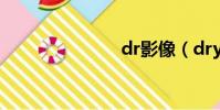 dr影像(dry)