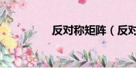 反對稱矩陣(反對皮草)