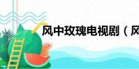 風中玫瑰電視劇(風中少林)