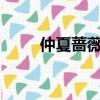 仲夏薔薇全文txt下載（仲夏薔薇）
