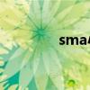 sma小米粒媽媽（smax4）