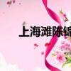 上海灘陳錦鴻版40集（上海灘陳錦鴻）