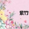 紫竹調琵琶音樂（紫竹調）