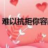 難以抗拒你容顏歌詞（難以抗拒你容顏歌詞）