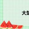 大楚網官網（大楚警衛）