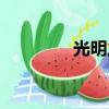 光明之心（光明之淚游戲）
