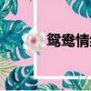 鴛鴦情緣潮劇選段（鴛江影院）
