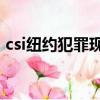 csi紐約犯罪現場調查1-15季合集（csi紐約）