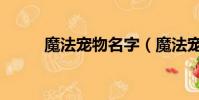 魔法寵物名字(魔法寵物小游戲)