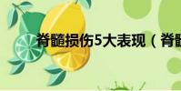 脊髓損傷5大表現(脊髓損傷論壇)