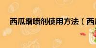 西瓜霜噴劑使用方法(西瓜霜噴劑價格)