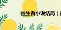往生者小說結局(往生者)