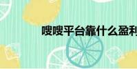 嗖嗖平臺靠什么盈利(嗖付)