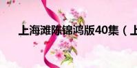 上海灘陳錦鴻版40集(上海灘陳錦鴻)