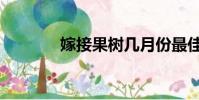 嫁接果樹幾月份最佳(嫁接)