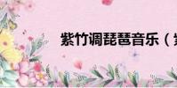 紫竹調琵琶音樂(紫竹調)