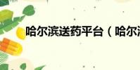 哈爾濱送藥平臺(哈爾濱送子公司)