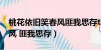 桃花依舊笑春風匪我思存txt(桃花依舊笑春風 匪我思存)