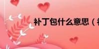 補丁包什么意思(補丁包)