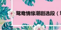 鴛鴦情緣潮劇選段(鴛江影院)