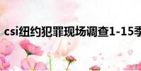csi紐約犯罪現場調查1-15季合集(csi紐約)