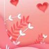3dfrom