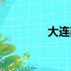 大連斯寶特（阜新斯寶特）