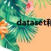 dataset和庫是一樣的嗎（dataset）