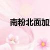 南粉北面加盟經營技巧（南粉北面加盟）