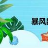 暴風數碼logo（暴風數碼）