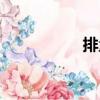 排量單位（排量單位）