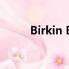 Birkin Bag多少錢（birkinbag）