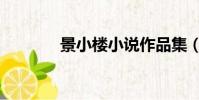 景小樓小說作品集(景小樓)