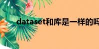 dataset和庫是一樣的嗎(dataset)