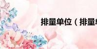 排量單位(排量單位)