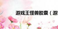 游戲王怪獸膠囊(游戲王gx2)