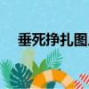 垂死掙扎圖片表情包（垂死掙扎的意思）