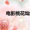 電影桃花燦爛劇情介紹（電影桃花燦爛）