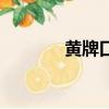 黃牌口琴廠定制（黃牌口琴）