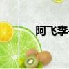 阿飛李尋歡舞劍（阿飛李尋歡）