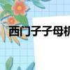 西門子子母機使用說明書（西門子子母機）
