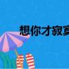 想你才寂寞是什么意思（想你才寂寞）