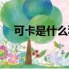 可卡是什么種類（可卡是用什么制成的）