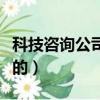 科技咨詢公司做什么業務（咨詢公司是做什么的）